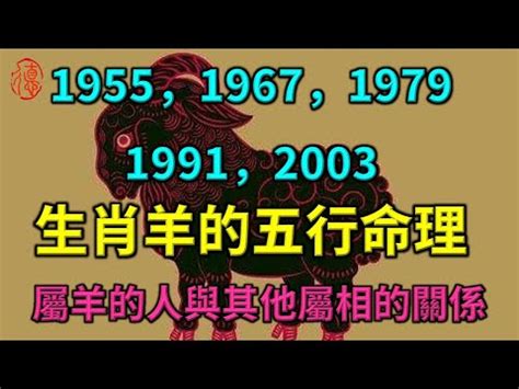 1979生肖五行